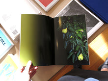 Load image into Gallery viewer, Philip Gaißer - Petömihályfa