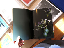 Load image into Gallery viewer, Philip Gaißer - Petömihályfa