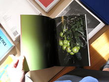 Load image into Gallery viewer, Philip Gaißer - Petömihályfa