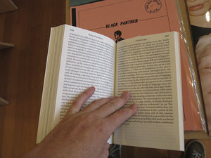 Noise After Babel: Language Unrestrained