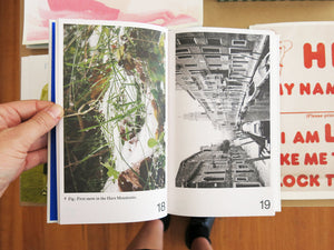 Ben Lerner & Alexander Kluge – The Snows of Venice