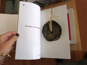Sarah van Lamsweerde - Paper is a leaf that will destroy us in its fall