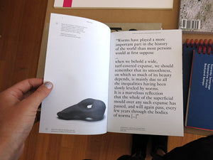 Helen Cho - 21 Objects for Hesitation and Reimagining Their Many Selves