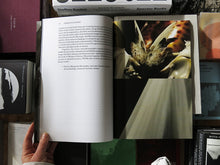 Load image into Gallery viewer, Women’s History Museum: Grisette à l’enfer