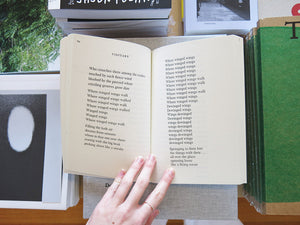 Norman H. Pritchard – The Matrix Poems 1960-1970