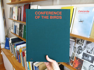 Sybren Vanoverberghe – Conference of the Birds