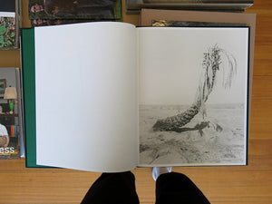 Sybren Vanoverberghe – Conference of the Birds