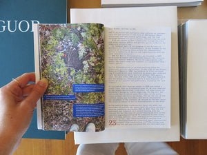Funken zu Flammen: Artists Research