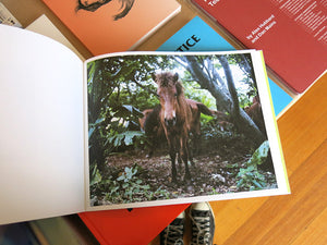 Charlotte Dumas - WORK HORSE