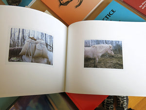 Charlotte Dumas - WORK HORSE