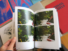 Load image into Gallery viewer, Florian Hecker - Chimerizations