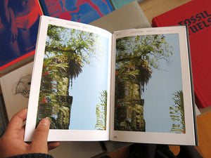 Florian Hecker - Chimerizations