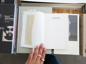 Natasha Rijkhoff and Romy Day Winkel (eds.) – Its (Im)possible Formation: The Book