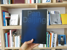 Load image into Gallery viewer, Pan Daijing
