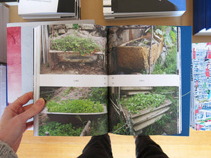 Notes from the Underdog: Agriculture for Subsistence in Porto