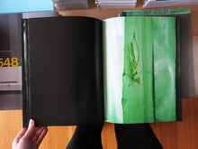 Load image into Gallery viewer, Michele Sibiloni – Nsenene