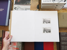 Load image into Gallery viewer, Yael Eban and Matthew Gamber – Dead Ringer