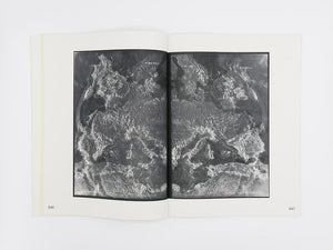 Izabela Pluta – Figures of slippage and oscillation