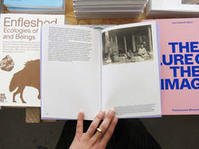 Load image into Gallery viewer, Yutong Lin – Zomia Garden