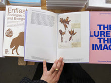 Load image into Gallery viewer, Yutong Lin – Zomia Garden