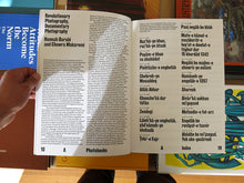 Load image into Gallery viewer, Hannah Darabi – Enghelab Street, A Revolution through Books: Iran 1979-1983