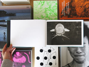 Fulvio Ventura’s SAGACITY