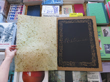 Load image into Gallery viewer, Mark Armijo McKnight – Posthume