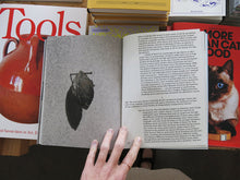 Load image into Gallery viewer, Enredos II: Nuno da Luz