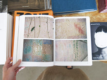 Load image into Gallery viewer, Mimosa Echard: Lies