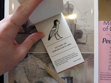 Load image into Gallery viewer, Tamara Shopsin &amp; Jason Fulford – OFFLINE ACTIVITES