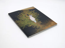 Load image into Gallery viewer, Sarah Pannell – Tabriz to Shiraz