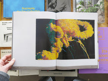Load image into Gallery viewer, Claire Healy &amp; Sean Cordeiro – Ready-made Ruin