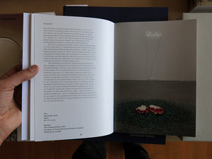 Lieven De Boeck - Independence of Character