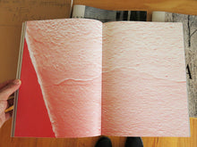Load image into Gallery viewer, David Küenzi - Zustandsaufnahme