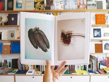 Load image into Gallery viewer, Aaron McElroy - I Lied