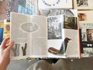 Real Review 13