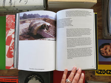 Load image into Gallery viewer, Alina Schmuch: Mouth of the Waterway