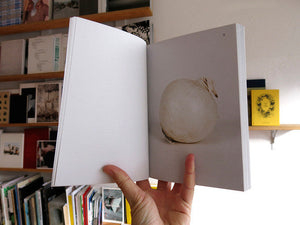 Elad Lassry - On Onions