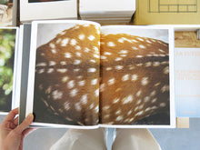 Load image into Gallery viewer, Terri Weifenbach – Cloud Physics
