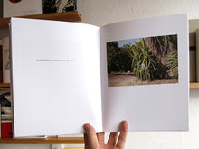 Load image into Gallery viewer, Seth Lower - The Sun Shone Glaringly