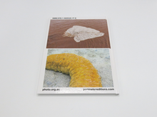 Load image into Gallery viewer, Honey Long and Prue Stent – Drinking From The Eye