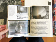 Load image into Gallery viewer, Alexander Kluge - Pluriverse