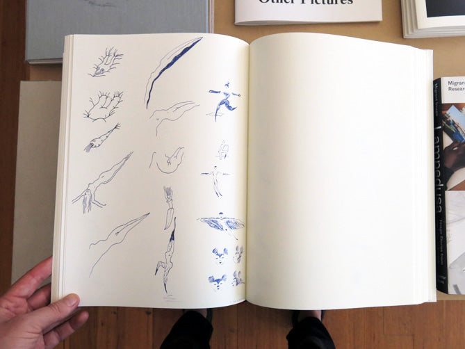 アート・デザイン・音楽 David Weiss DIE WANDLUNGEN DIE WANDLUNGEN (Second Edition) / David Weiss - Utrecht