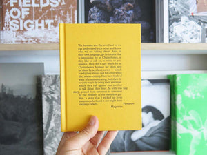 Fernando Maquieira – A Tiny Story