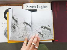 Load image into Gallery viewer, Fernando Maquieira – A Tiny Story