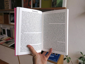 Jacqueline Schoemaker - The Undivided City
