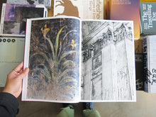 Load image into Gallery viewer, David Jiménez – ROMA