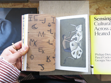 Load image into Gallery viewer, Oliver Vodeb &amp; Jason Grant – What is Post-Branding? How to Counter Fundamentalist Marketplace Semiotics