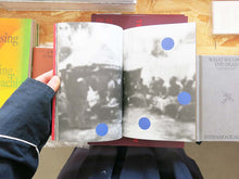 Load image into Gallery viewer, Silvia Rosi – Protektorat