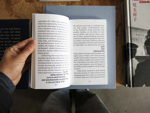 Federico Sargentone – Midcareer Writing